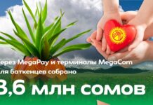 Через MegaPay и терминалы MegaCom для баткенцев собрано более 3,6 млн сомов