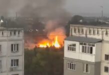 Площадь пожара в Ботаническом саду составила 1 гектар