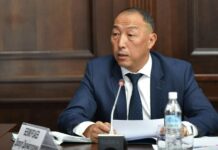 Доскул Бекмурзаевге 2 кылмыш иши козголду