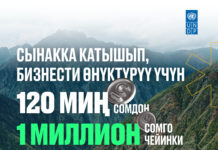 Жители регионов КР могут получить гранты до 1 млн сомов на развитие бизнеса