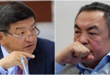 Акылбек Жапаров прокомментировал задержание Тенгиза Болтурука