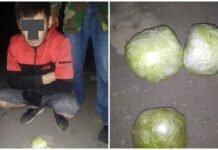 Мужчина пытался перебросить 1 кг гашиша в колонию в селе Новопавловка