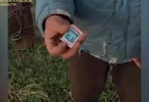 Жапайы кендирди даярдап жаткан жеринен үч жаран кармалды