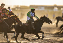 Көчмөндөр оюндарына көк бөрү жана алыш күрөшү да киргизилди