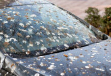 Бишкекте унаасы кир айдоочуларга айып пул салуу сунушталды