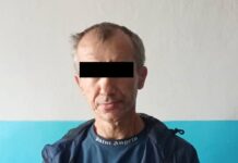 Кара-Балта шаарында унаа уурдоого шектүү жаран кармалды