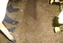 Чүйдө өз баласын өлтүрүп, короосуна көмүп койгон адам кармалды