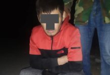 Абакка 3 таңгакты ыргытууга аракет кылган жаран кармалды