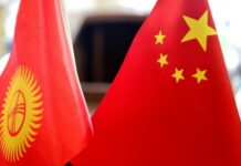 Кыргызстандын Кытайдагы жаңы элчиси болуп Актилек Мусаева дайындалды