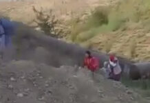 “Өзүңөрдү кармагыла!”: Тургундарды унаасына чакырып жаткан жарандын видеосу тарады