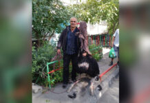 Страуса-марафонца в Бишкеке час ловили около десяти милиционеров