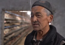 Таджики сожгли птицефабрику в селе Ак-Сай и убили ее хозяина