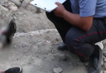 В Бишкеке убили девушку и спрятали тело в ботсаду. Задержан мастер, который делал ей ремонт