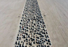 Фактчек: фото о якобы бегущих от мобилизации в Кыргызстан и Казахстан россиянах — фейк