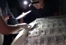 Видео задержания министра образования Алмазбека Бейшеналиева