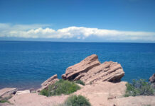 Личность женщины, тело которой нашли на берегу Иссык-Куля, установили