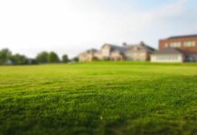 В селе Кок-Жар один земельный участок продали нескольким гражданам