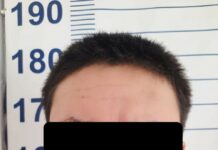 Мурдагы күйөөсү бычактаган 24 жаштагы келин каза болду