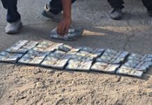 В машине у жителя Баткенской области нашли $2,7 млн. ВИДЕО