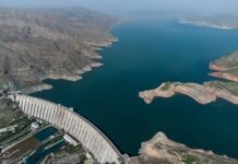 Институт омбудсмена КР обратился к властям по факту задержания активистов и политиков