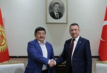 Акылбек Жапаров Түркиянын вице-президенти менен жолугушту