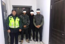 Айдоочу жөө жүргүнчүнү сүзүп, ооруканага жеткирип коюп качып кеткен