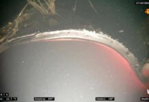 Опубликованы первые кадры повреждений «Северного потока»