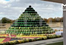 Рахмон подарил Путину пирамиды из арбузов и дынь, а Лукашенко — трактор