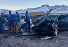 7 адамдын өмүрүн алган жол кырсыкта унаа карама-каршы тилкеге чыгып кеткен