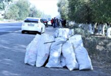 Более 22 тысяч человек приняли участие в субботнике в Бишкеке