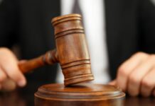 Мыйзамсыз жер саткан мурдагы айыл өкмөт башчысына иш козголду