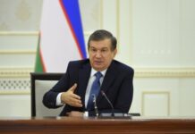 Шавкат Мирзиёев саммитте Борбор Азиянын интеграциясына көңүл бурууга чакырды