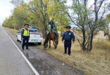 Түп районунда жол сакчылары мал ээлерине жол кыймылынын эрежелерин сактоону эскертишти