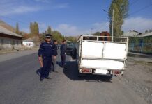 “Мал уурулук” рейдинин жүрүшүндө кылмышка шектүү жаран кармалды