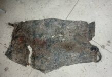 В БЧК нашли нашли тело убитой женщины. Милиция просит помощи с опознанием