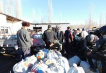 Кышка камылга. Таласта «Альянс Алтын» көмүр сатып алууга көмөкчү болууда