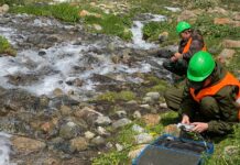 Компания «Альянс Алтын» выплатила по налогам 8,4 млрд сомов