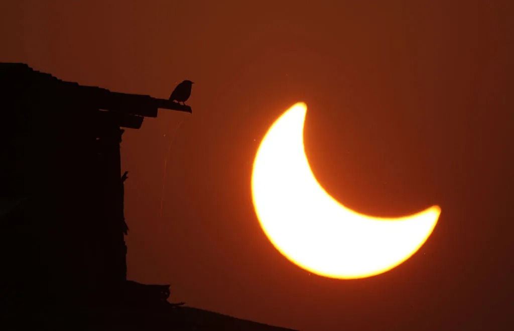 eclipse Последнее солнечное затмение 2022 года - фото, видео