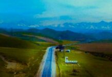 Ноокатта 24,2 млн сомдук жер тилкеси мамлекетке кайтарылды