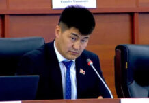 Налог для патриотов. Депутат предложил за счет работающих граждан оснащать кыргызскую армию