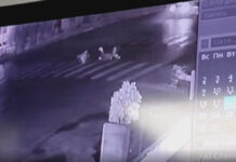 В центре Кемина из плохого освещения на зебре сбили детей. ВИДЕО