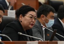 Депутат Нарматова: Закон о внутренней торговле необходим народу Кыргызстана