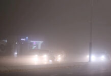 Ташкент абасы кир шаарлардын сап башында турат