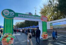 Бишкекте агроөнөр жай көргөзмөсү жана айыл чарба жарманкеси өтүүдө