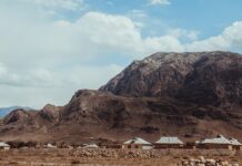 В Ошской области произошло землетрясение силой в эпицентре 4,5 балла