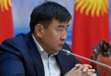 Еще один депутат предлагает запретить в Кыргызстане TikTok