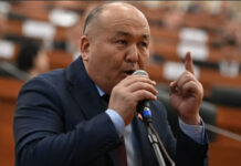 Депутат предложил ввести налог на овец и лошадей