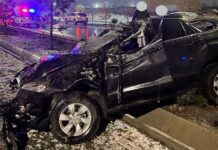 ДТП на Южной магистрали: машина снесла несколько елей и столб