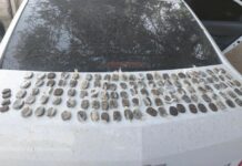 В Токтогульском районе задержали наркодельца с более 1,7 кг гашиша