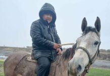 Боке минген аргымактан күлүк болуп кетиптир, – Самыйкожо